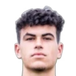 Diogo Amaro