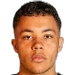 Leandro Elvestad Neto