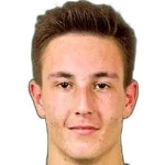 Tomislav Mesaric