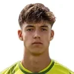 Nico Biedermann