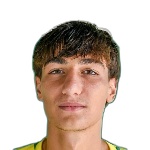 N. Gobetti