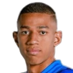 Andres Aedo