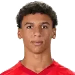 Guilherme Azevedo Moraes