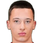 Elmando Gjini