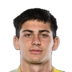 Mate Gagvishvili
