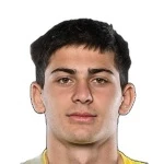 M. Gagvishvili