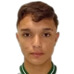 Vitor Gonçalves Tissi