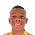 Darwin Torres
