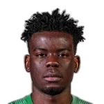 Borel Tomandzoto