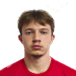 Dino Bradarić