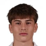 Nik Škafar Žužić