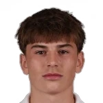 Nik Škafar Žužić