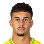 Dominik Celija