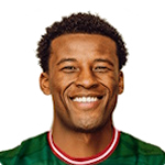Georginio Wijnaldum