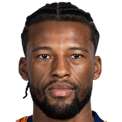 G. Wijnaldum