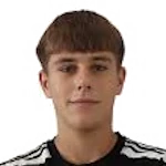 Strahinja Anđelić