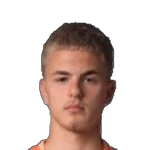 Haris Ibrisagic