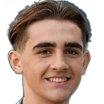 Frankie Hvid