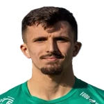 Aldin Nedzibovic
