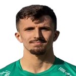 Aldin Nedzibovic