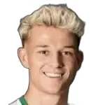 Julian Hermann