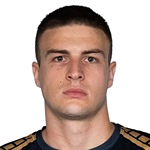 Brana Mirkovic
