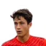 Gabriele Casentini