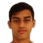 Pedro Henrique Carneiro Portes