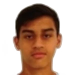 Pedro Henrique Carneiro Portes