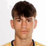 Dani Meso