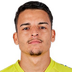 P. S. Carvalho