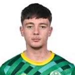 Steven Healy