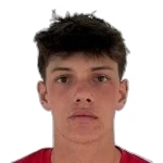 Henrique Poniewas