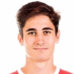 Javier Mecerreyes