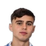 Emir Derviskadic
