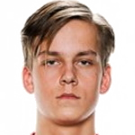 Hannes Sveijer