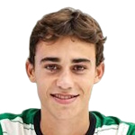 Lucas Dominguez Taibo