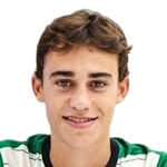 Lucas Dominguez Taibo