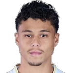 Vitor Tardelli da Silva