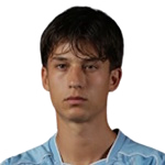 Mihajlo Petrović