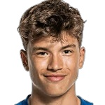 D. v. d. Vaart