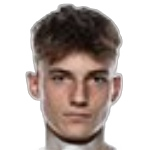 Niko Grlić