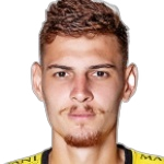 Rafael Henrique Milhorim