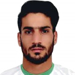 Hossein Abarghouei
