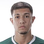 Vitor Hugo da Silva Gonçalves