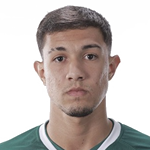 Vitor Hugo da Silva Gonçalves