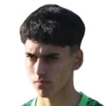 Emir Gundogdu