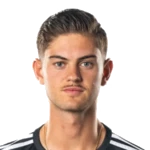 Nico Van Rijn
