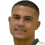 Vinicius Baracioli
