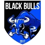 Associação Black Bulls